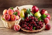 Саженцы плодовых,  ягодных и роз
